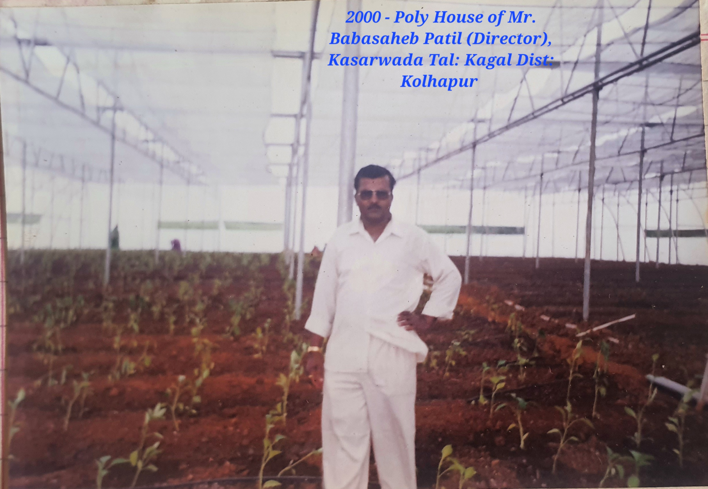 Drip Irrigation Services since 1990 project image 1